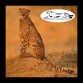 Cheetah Holiday Club, Vizovice